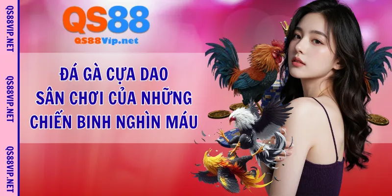 đá gà cựa dao